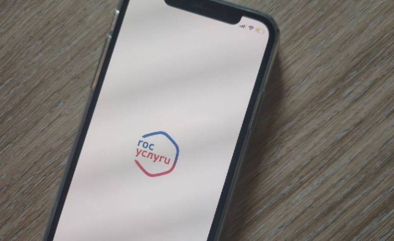 Проверка номеров на Госуслугах